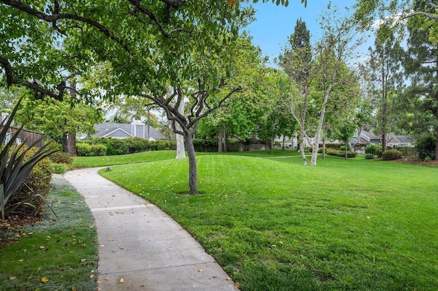 5118 Concord Pl, Carpinteria, CA 93013 - view of green lawn