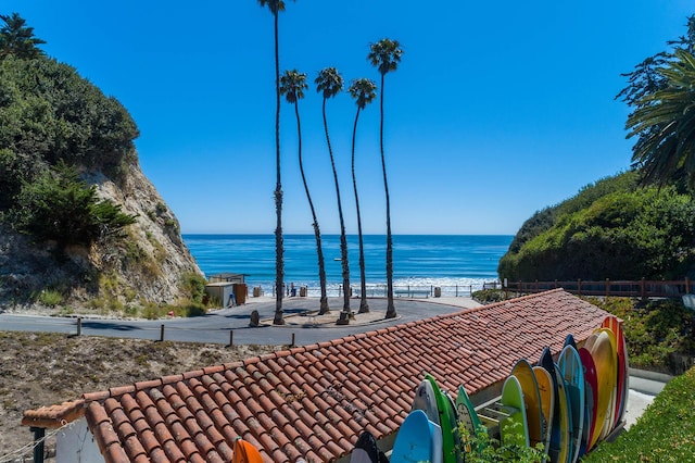 4558 Via Esperanza, Santa Barbara, CA 93110 - photo 77