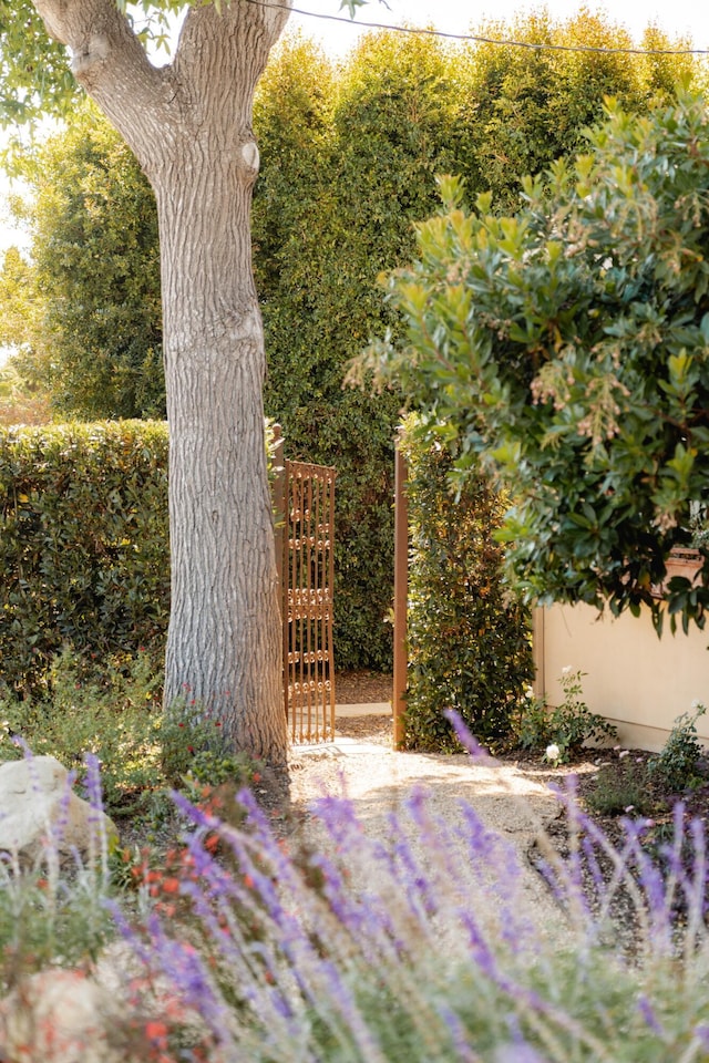 2818 Valencia Dr, Santa Barbara, CA 93105 - photo 29