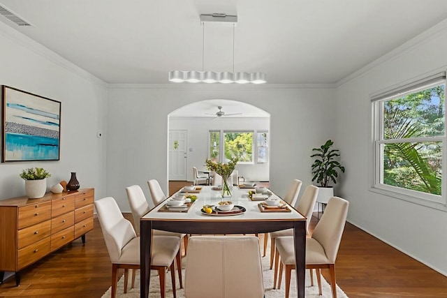 917 W Victoria St, Santa Barbara, CA 93101 - photo 6