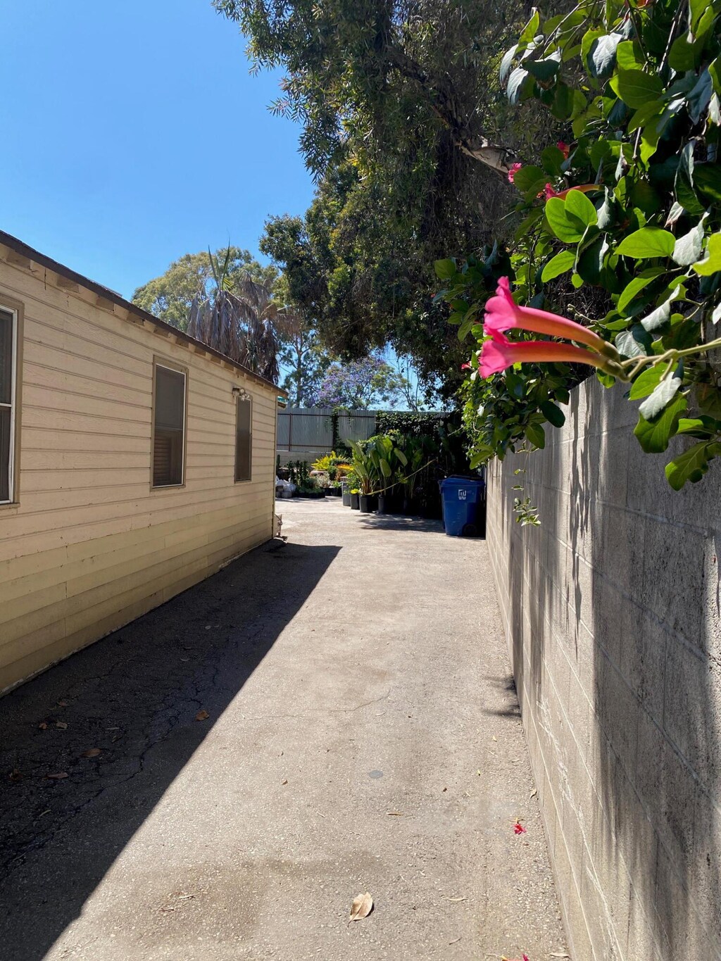 713 Kimball St, Santa Barbara, CA 93103 - photo 4
