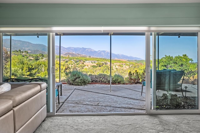 1240 Camino Manadero, Santa Barbara, CA 93111 - photo 8