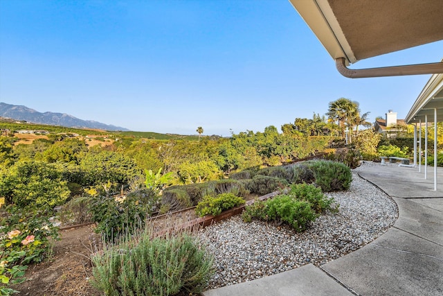 1240 Camino Manadero, Santa Barbara, CA 93111 - photo 28