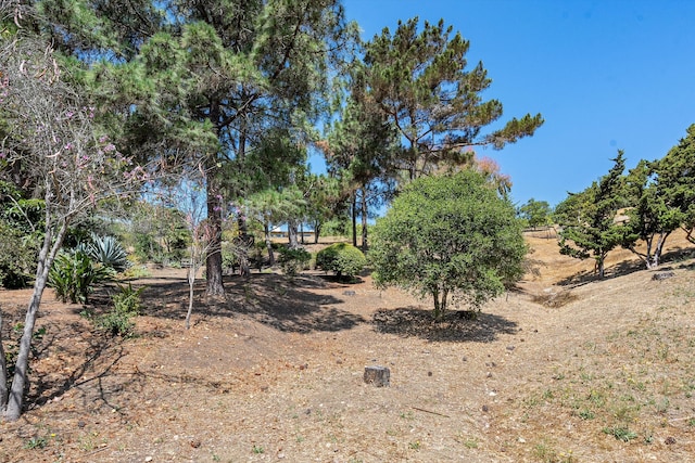 1240 Camino Manadero, Santa Barbara, CA 93111 - photo 37