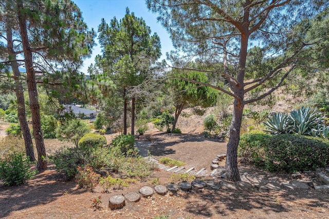 1240 Camino Manadero, Santa Barbara, CA 93111 - photo 39