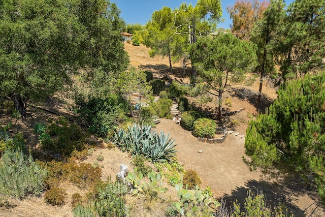1240 Camino Manadero, Santa Barbara, CA 93111 - photo 43
