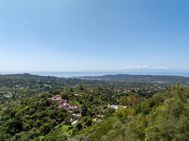 2870 Holly Rd, Santa Barbara, CA 93105 - photo 46