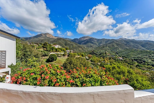 2870 Holly Rd, Santa Barbara, CA 93105 - photo 47