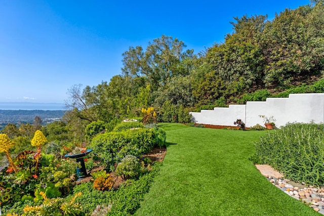 2870 Holly Rd, Santa Barbara, CA 93105 - photo 48