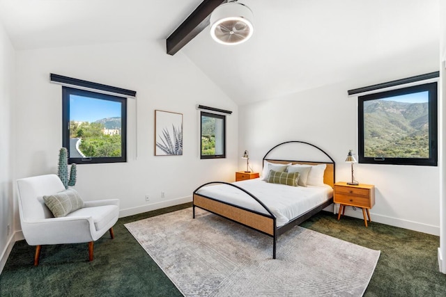 2870 Holly Rd, Santa Barbara, CA 93105 - photo 53