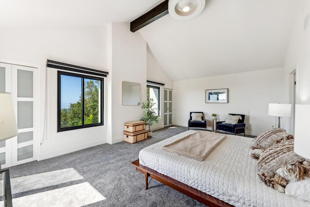 2870 Holly Rd, Santa Barbara, CA 93105 - photo 54