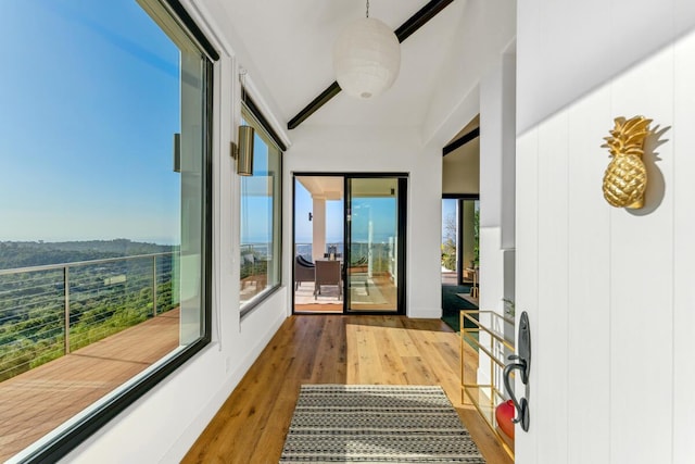 2870 Holly Rd, Santa Barbara, CA 93105 - photo 58