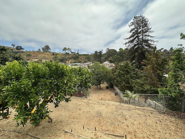 1161 Via Arroyo, Ventura, CA 93003 - photo 23