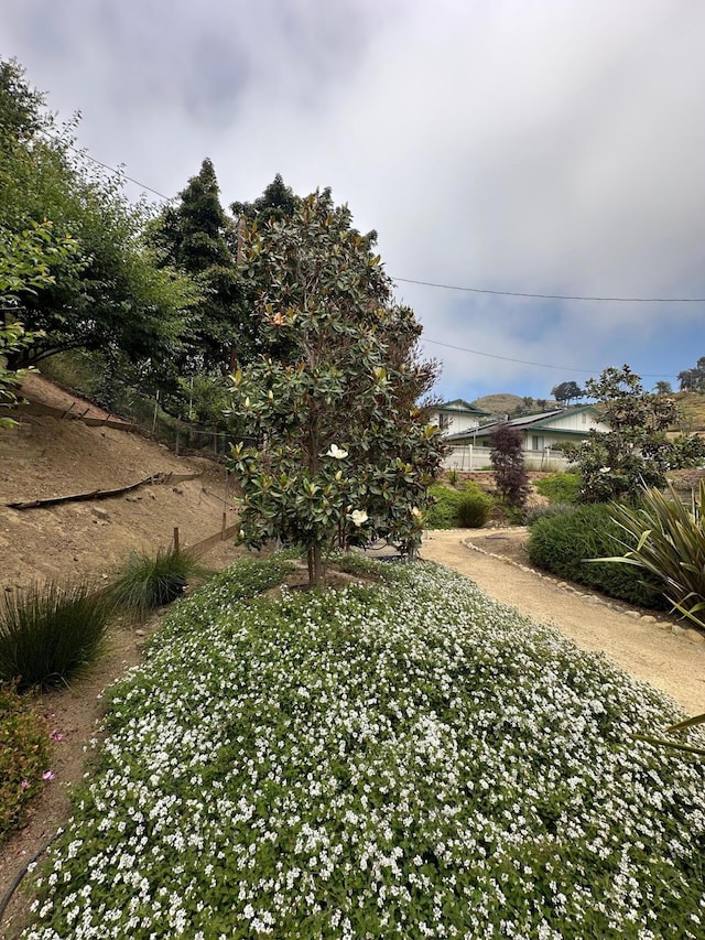 1161 Via Arroyo, Ventura, CA 93003 - photo 18