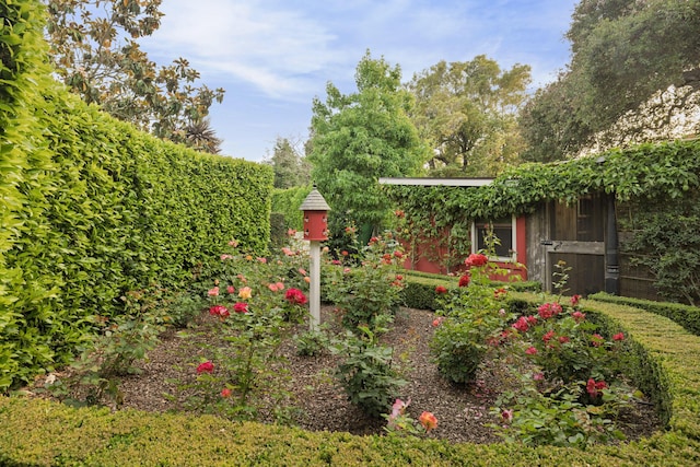 1166 Summit Rd, Montecito, CA 93108 - photo 40