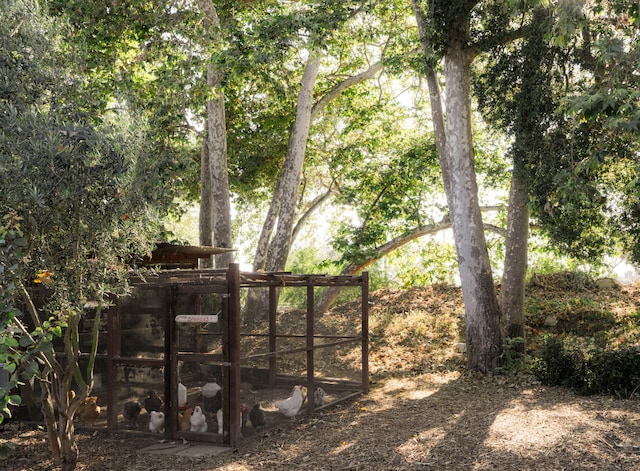 3880/3882 Foothill Rd, Carpinteria, CA 93013 - photo 21