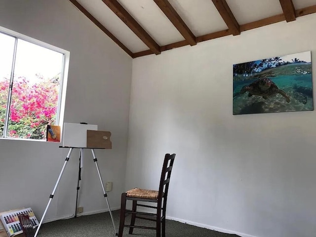 410 Terrace Rd, Santa Barbara, CA 93109 - photo 12