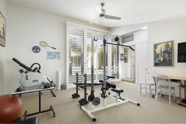 526 Crocker Sperry Dr, Montecito, CA 93108 - photo 19