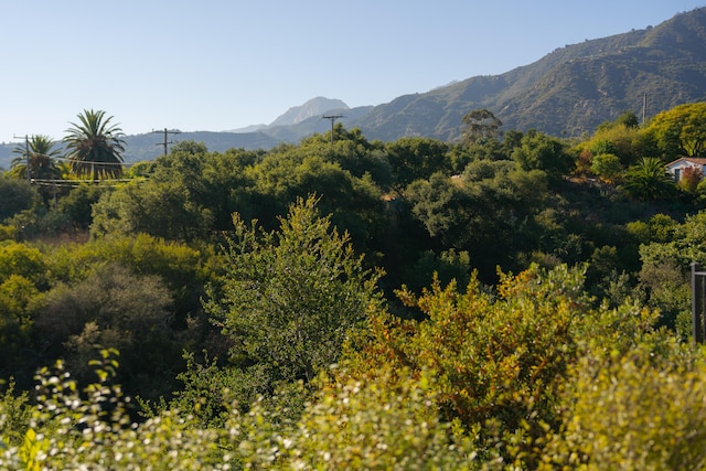 715 Circle Dr, Montecito, CA 93108 - photo 10