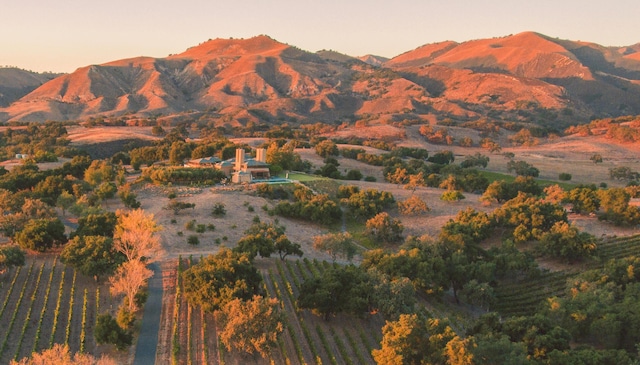 6903 Foxen Canyon Rd, Los Olivos, CA 93441 - photo 1
