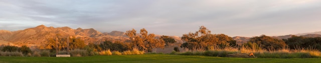 6903 Foxen Canyon Rd, Los Olivos, CA 93441 - photo 22