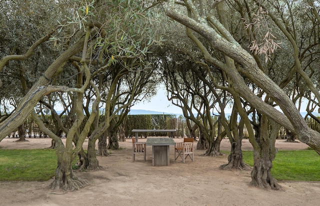 6903 Foxen Canyon Rd, Los Olivos, CA 93441 - photo 26