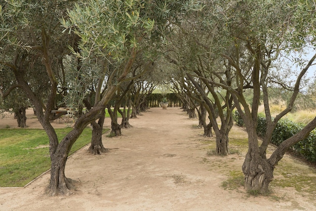 6903 Foxen Canyon Rd, Los Olivos, CA 93441 - photo 27