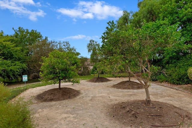 4678 Gerona Way, Santa Barbara, CA 93110 - photo 28