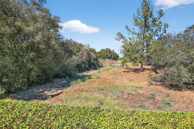 834 Via Covello, Santa Barbara, CA 93110 - photo 36