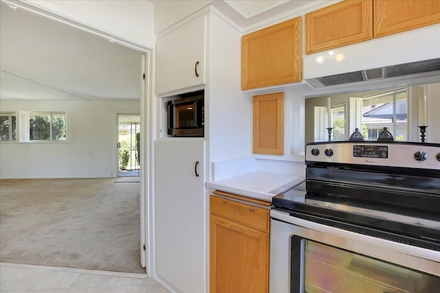 310 Moreton Bay Ln, Goleta, CA 93117 - photo 9