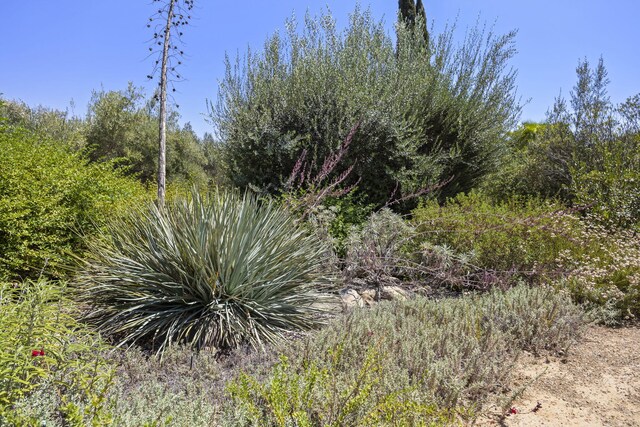 2139 Mcnell Rd, Ojai, CA 93023 - photo 25