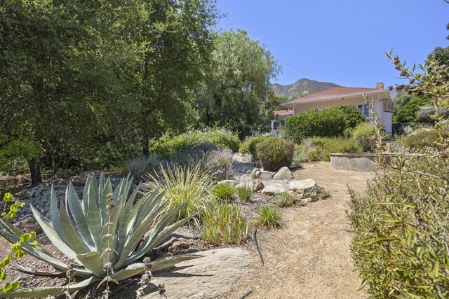 2139 Mcnell Rd, Ojai, CA 93023 - photo 26