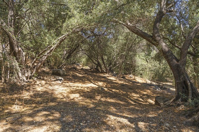 2139 Mcnell Rd, Ojai, CA 93023 - photo 46