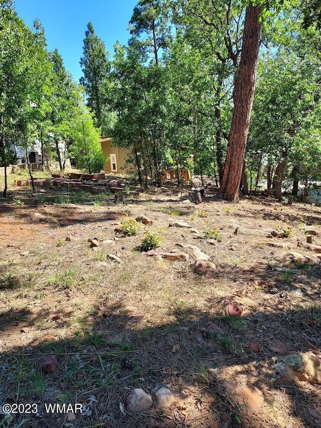 Listing photo 2 for 3851 S Mule Skinner Loop, Show Low AZ 85901