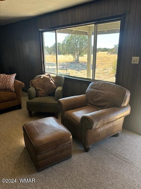 living area featuring wood walls