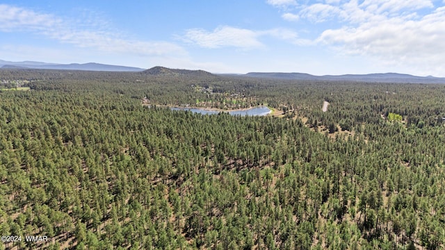 view of mountain feature featuring a forest view