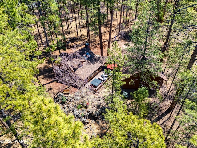 1862 Douglas Fir Dr, Pinetop, AZ 85935 - view of subject property