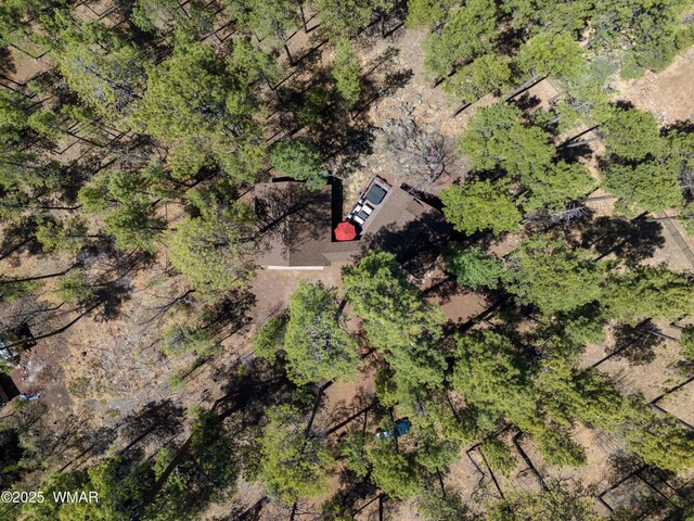 1862 Douglas Fir Dr, Pinetop, AZ 85935 - drone / aerial view