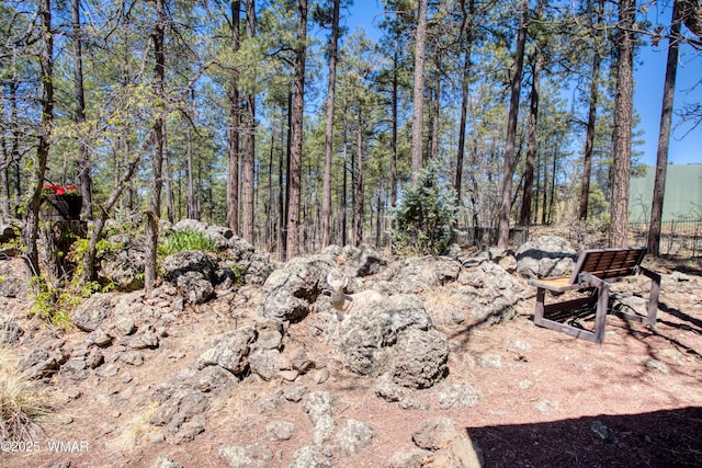 1862 Douglas Fir Dr, Pinetop, AZ 85935 - view of yard