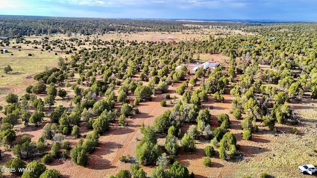TBD Flake Rd Unit 5.08, Acres, Aripine, AZ 85933 - photo 4