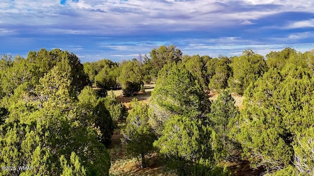 TBD Flake Rd Unit 5.08, Acres, Aripine, AZ 85933 - photo 12