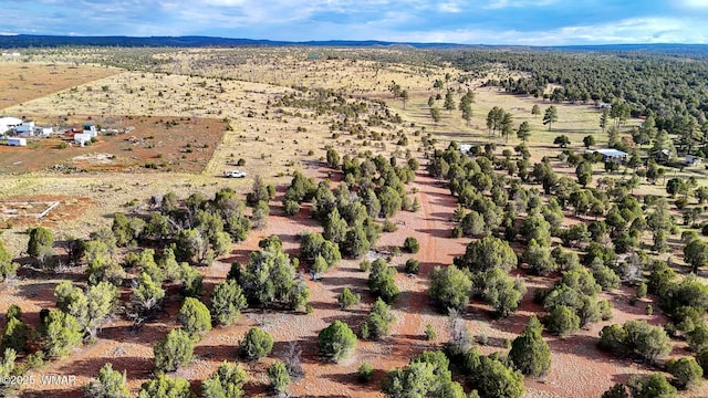 TBD Flake Rd Unit 5.08, Acres, Aripine, AZ 85933 - photo 21