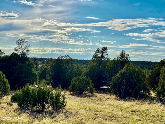 TBD Flake Rd Unit 5.08, Acres, Aripine, AZ 85933 - photo 2