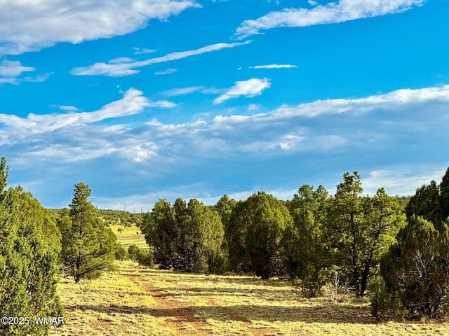 TBD Flake Rd Unit 5.08, Acres, Aripine, AZ 85933 - photo 10