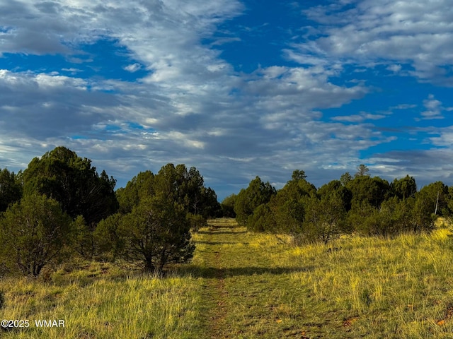 TBD Flake Rd Unit 5.08, Acres, Aripine, AZ 85933 - photo 25