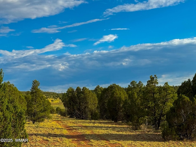 TBD Flake Rd Unit 5.08, Acres, Aripine, AZ 85933 - photo 24