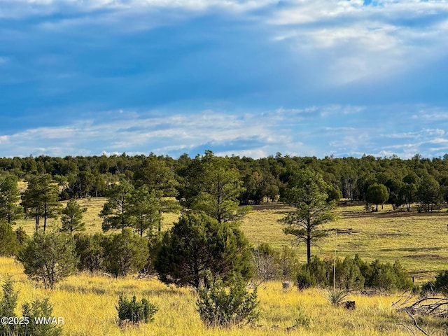 TBD Flake Rd Unit 5.08, Acres, Aripine, AZ 85933 - photo 1
