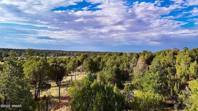 TBD Flake Rd Unit 5.08, Acres, Aripine, AZ 85933 - photo 15