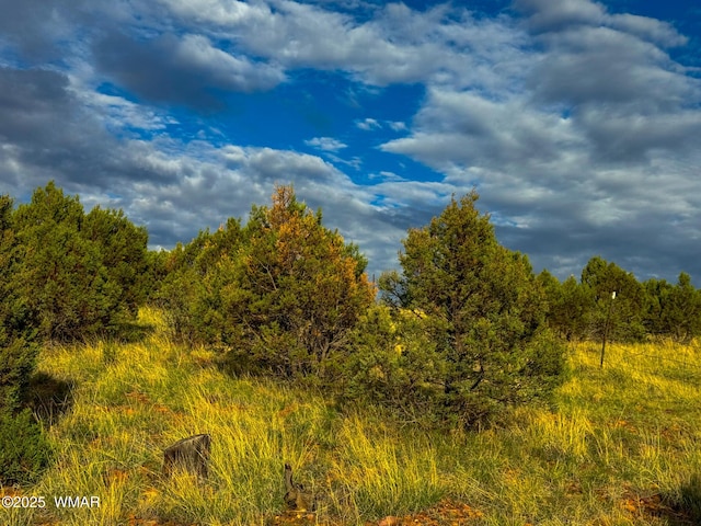 TBD Flake Rd Unit 5.08, Acres, Aripine, AZ 85933 - photo 26