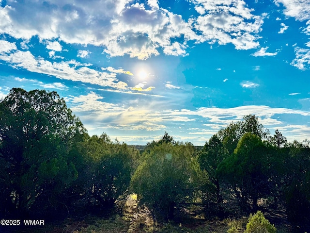 TBD Flake Rd Unit 5.08, Acres, Aripine, AZ 85933 - photo 6
